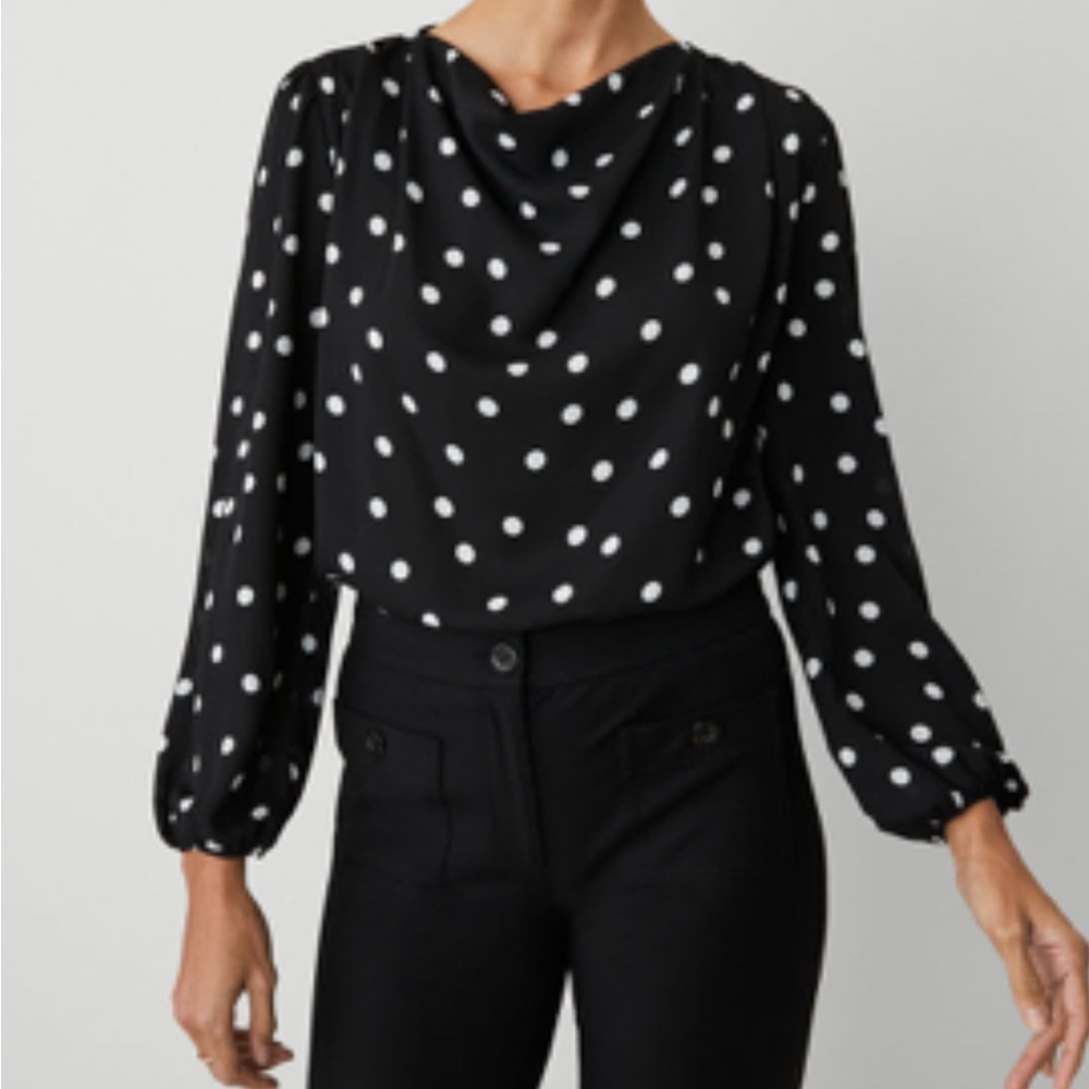 Ann Taylor Black and White Polka Dot Blouse